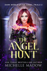 The Angel Hunt - eBook