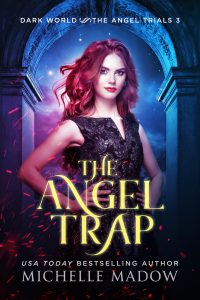 The Angel Trap - eBook small