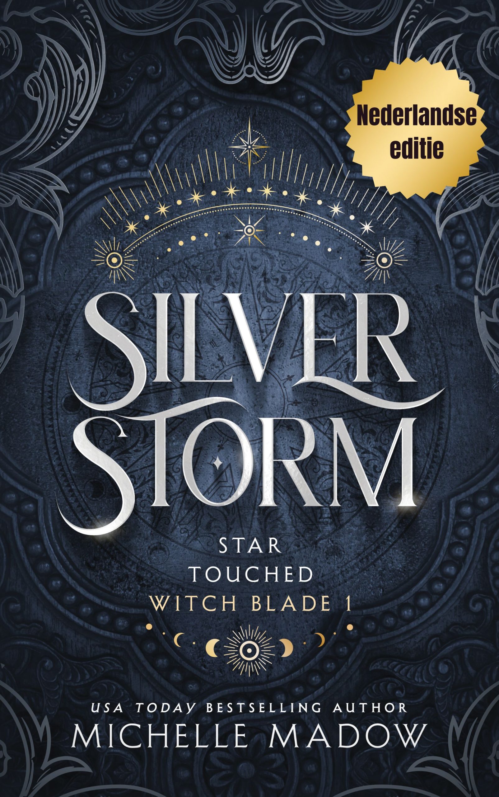Zilveren storm van Michelle Madow